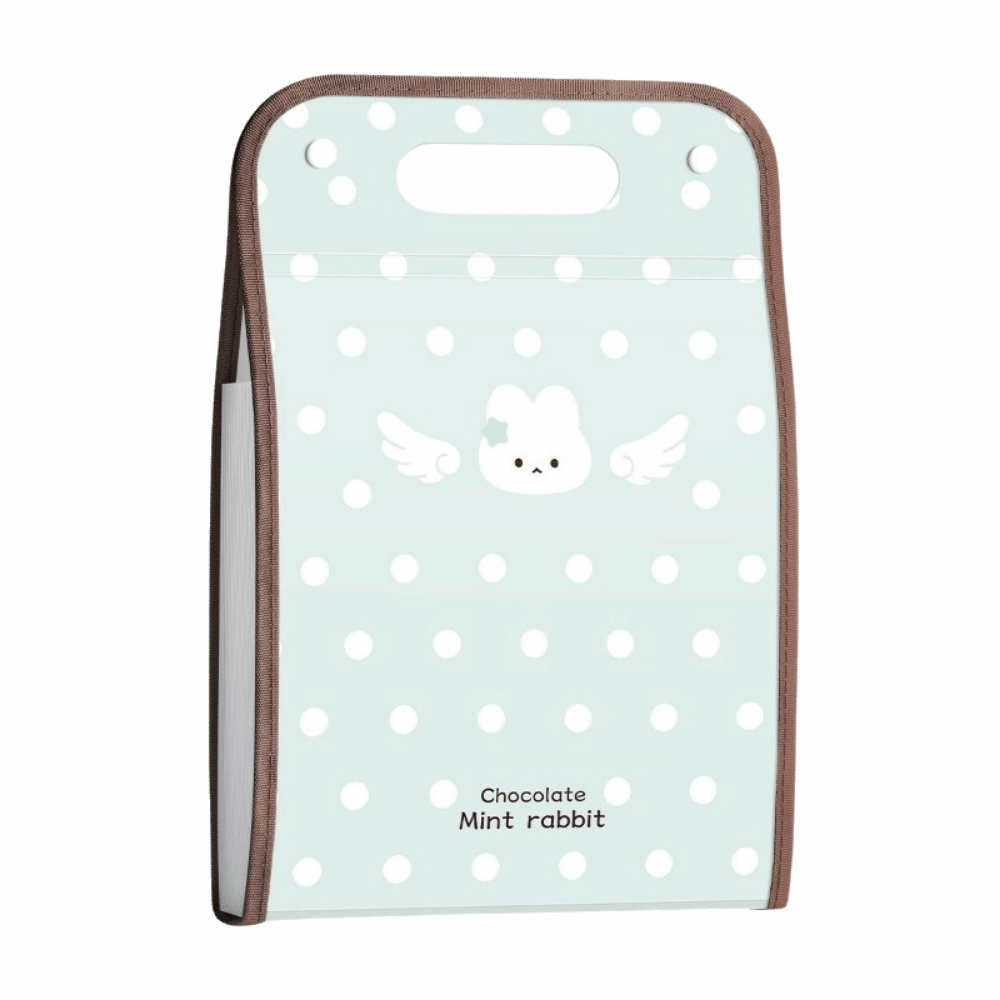 Cartella espandibile a punti P - Expandable Accordion File Folder 13 Pockets recensione e prezzo